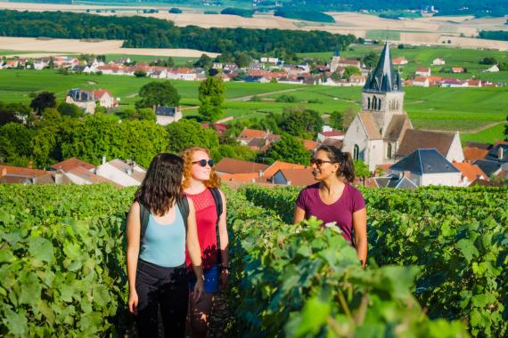 Balade dans les vignes de Champagne